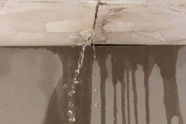 Professional Structural Drying technician working in Chandlersville, OH